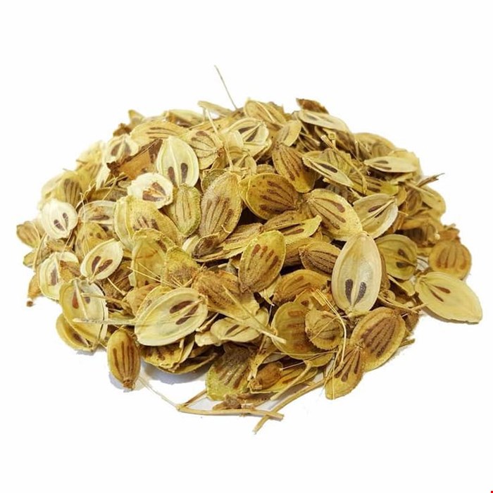 گلپر نسابیده اعلاء