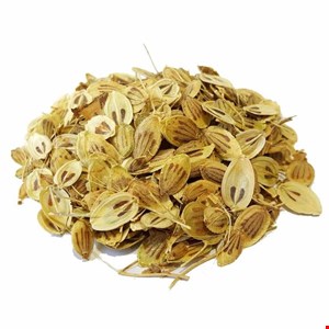 گلپر نسابیده اعلاء