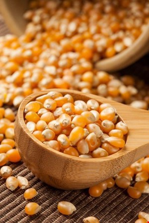 ذرت خشک اعلاء