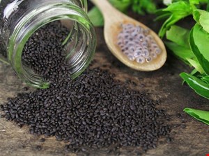 تخم شربتی ایرانی اعلاء
