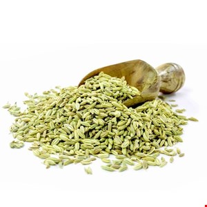 رازیانه اعلاء