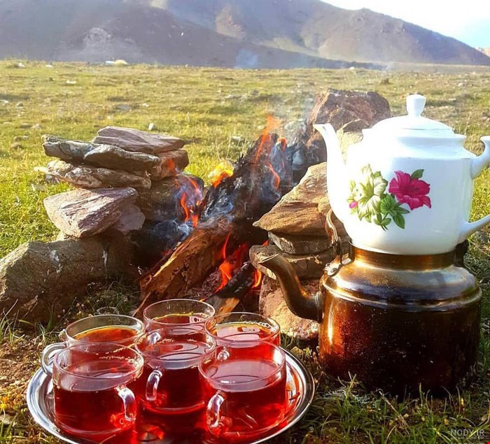 چای بهاره فومنات