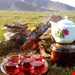 چای قلم لیزری فومنات